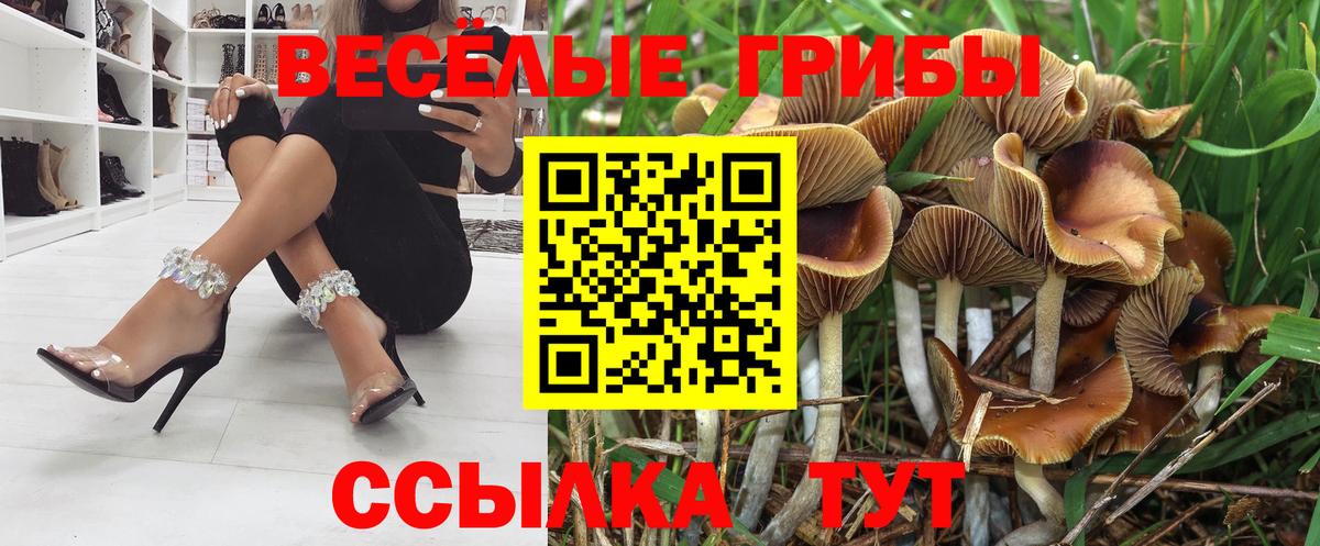 Псилоцибиновые грибы мицелий  Вход с VPN  Альметьевск 