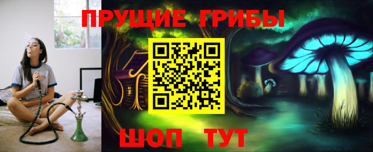 Галлюциногенные грибы Cubensis Альметьевск